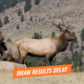 2018 Montana deer and elk draw results postponed a week