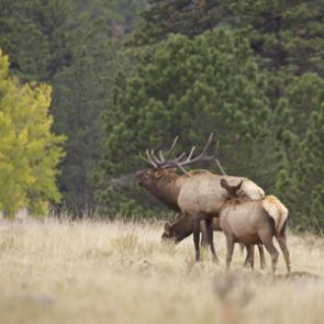 Montana announces two changes for 2020 season