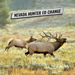 Online hunter education course now accepted in Nevada for those over 11 years old