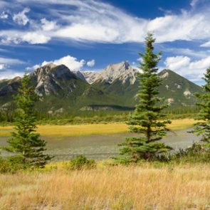 New bill aims to create protected wilderness areas in 1.3 million acres of public lands