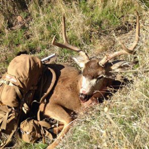 Flying solo on a blacktail hunt