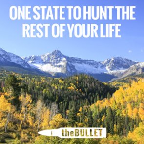 theBULLET - Top 31 responses: One state to hunt the rest of your life