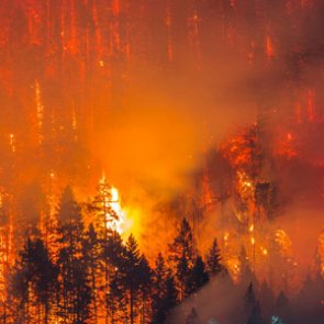 Hunters warned of possible dangers due to Oregon wildfires