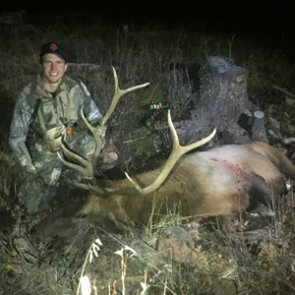 A Hail Mary Elk Hunt