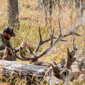 Planning your 2019 archery elk hunt by using the moon and equinox