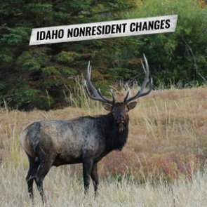 Idaho considers big changes to nonresident hunting