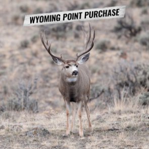 How to purchase Wyoming preference points