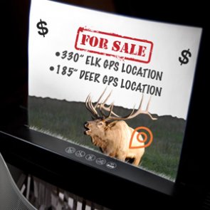 Social media, modern technology, and the commercialization of our wildlife