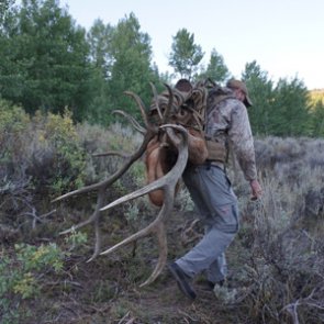 The 30 day plan for a successful hunt