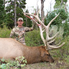 13 years, 1 moment, 1 elk