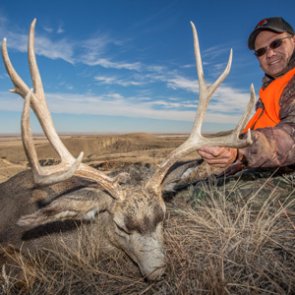 3 years, 3 mule deer and an incredible journey