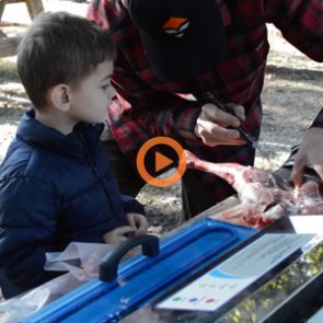 The importance of taking your kids hunting