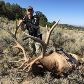 14 day elk hunt comes down to the last day