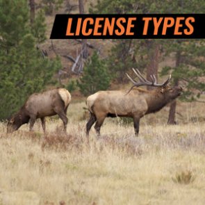 What does “license type” mean in Wyoming?