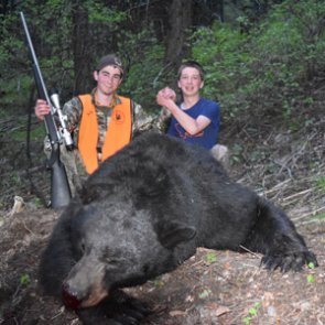 Bear hunting learning curves