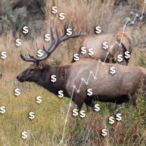 Overview of Wyoming’s license fee changes for 2018