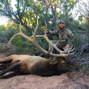 Adapting elk strategies to changing conditions