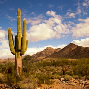 Arizona establishes annual Public Lands Day