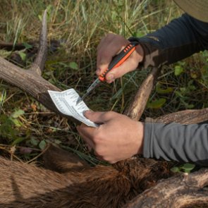 Gear Breakdown: What’s in my kill kit?
