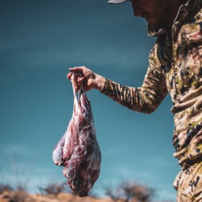 To age your wild game or not?
