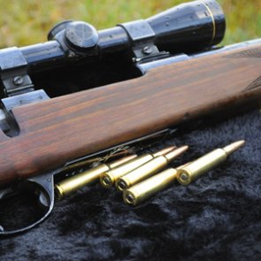 California man sentenced to 20 years for attempt at shooting wildlife officer