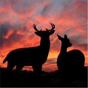 Night hunting legalized in parts of Wisconsin