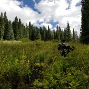 Emergency plan for western hunting