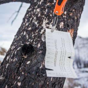 What is a Landowner Tag?