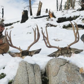 Cold temps and fresh snow was the perfect recipe for an Idaho mule deer hunt