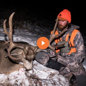 6 tactics for hunting mule deer bucks in the rut