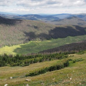 Montana to auction seized items from wildlife incidents