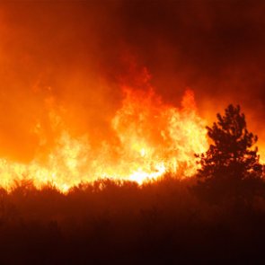 Wildfires claim parts of Montana’s Glacier National Park