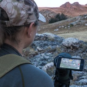 Making the most of your summer mule deer scouting