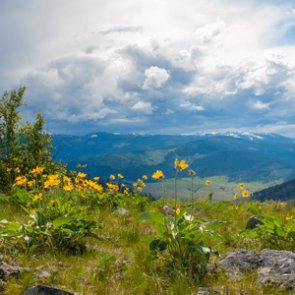 New Interior order grants better access to federal land for hunting and fishing