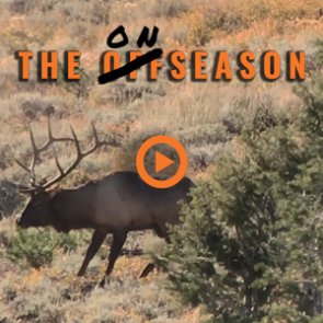 THE ONSEASON — Season 2 — Episode 8