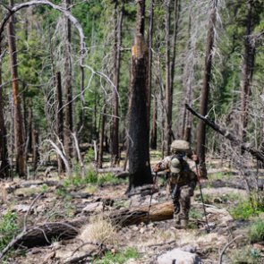 The physical side of hunting