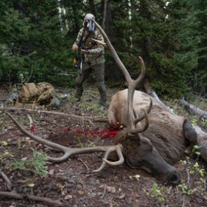 Pre-hunt precautions and care items