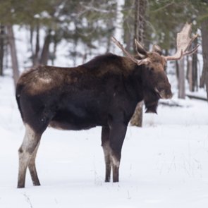 Hunter kills son in horrible hunting accident