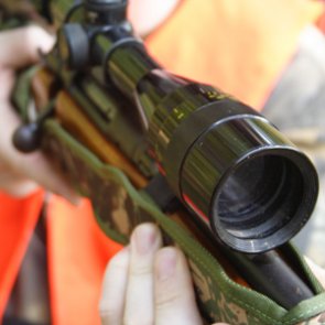 Texas could legalize specific air rifles for big game for the 2018 season