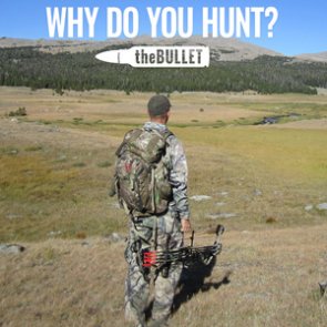 theBULLET - 22 great responses: Why do you hunt?
