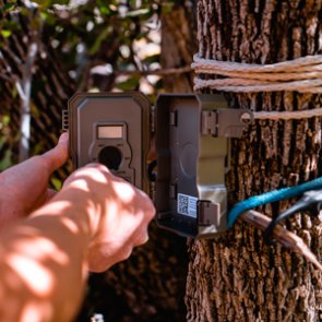 Are trail cameras the death of hunting?