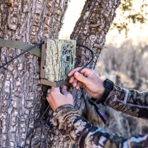 Utah proposes changes to trail camera use and more