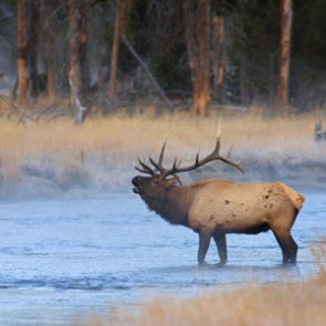 Wyoming bowhunter starts hunting ethics nonprofit