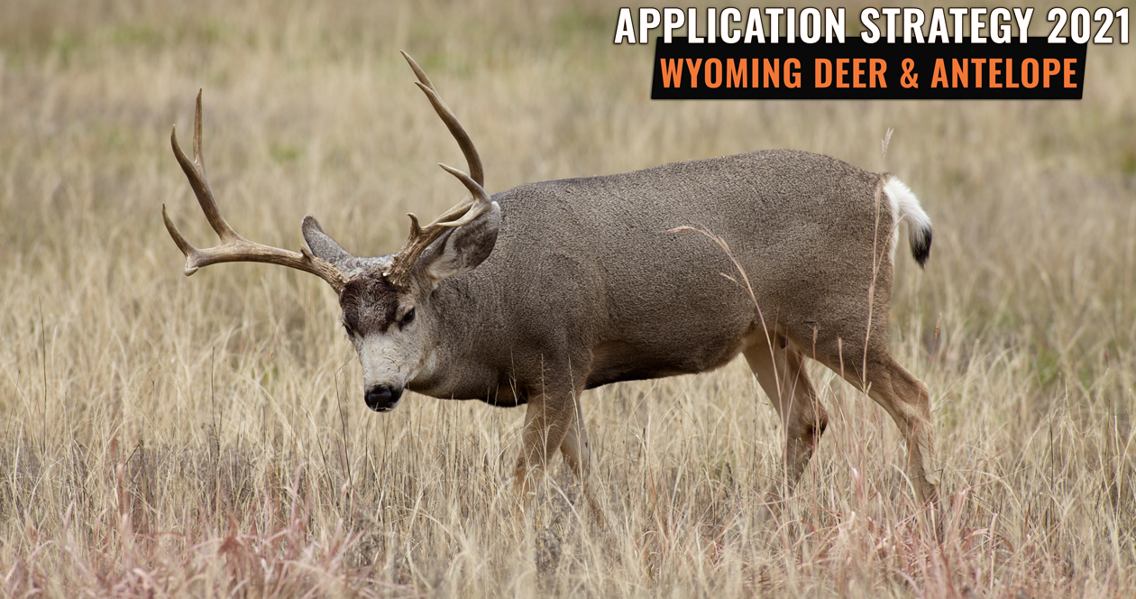APPLICATION STRATEGY 2021: Wyoming Deer and Antelope