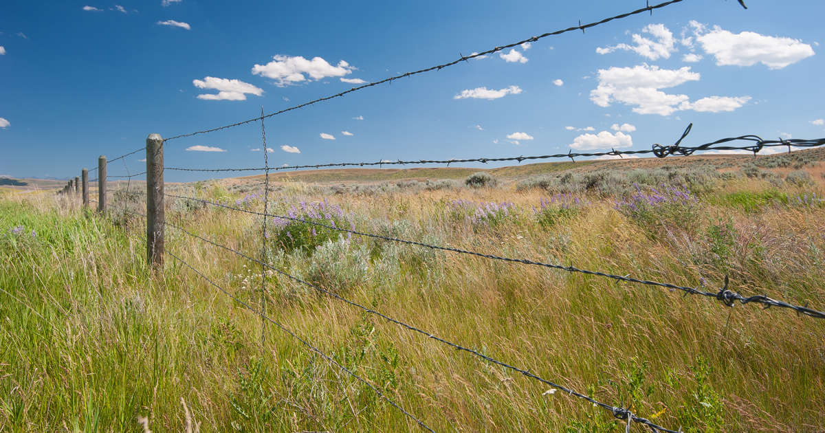 New legislation opens up inaccessible federal and state lands in Wyoming - Vimarsana News